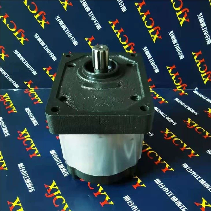 Case Tractor Pump 301022A1